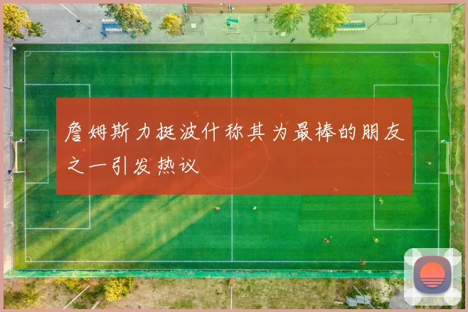 詹姆斯力挺波什称其为最棒的朋友之一引发热议