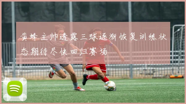 黄蜂主帅透露三球逐渐恢复训练状态期待尽快回归赛场