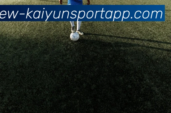 开云足球平台生态图